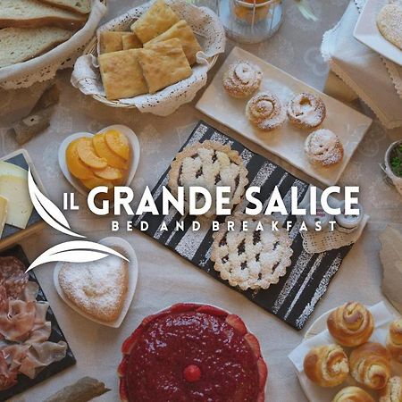 Bb Il Grande Salice Bike Friends Bed and Breakfast Ponti sul Mincio Exteriör bild