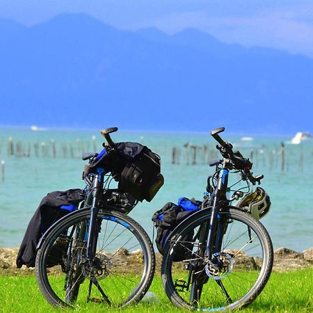 Bb Il Grande Salice Bike Friends Bed and Breakfast Ponti sul Mincio Exteriör bild