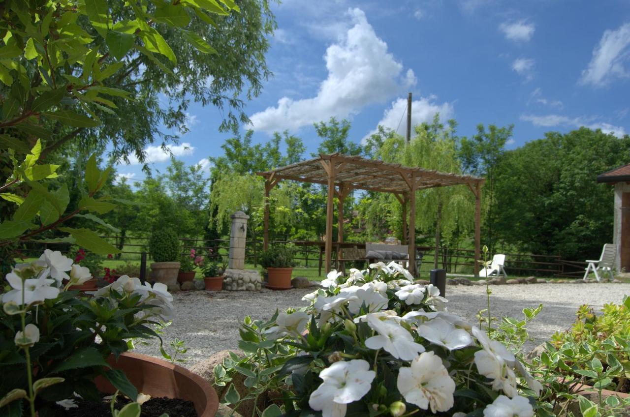 Bb Il Grande Salice Bike Friends Bed and Breakfast Ponti sul Mincio Exteriör bild
