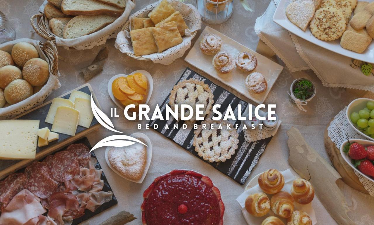 Bb Il Grande Salice Bike Friends Bed and Breakfast Ponti sul Mincio Exteriör bild