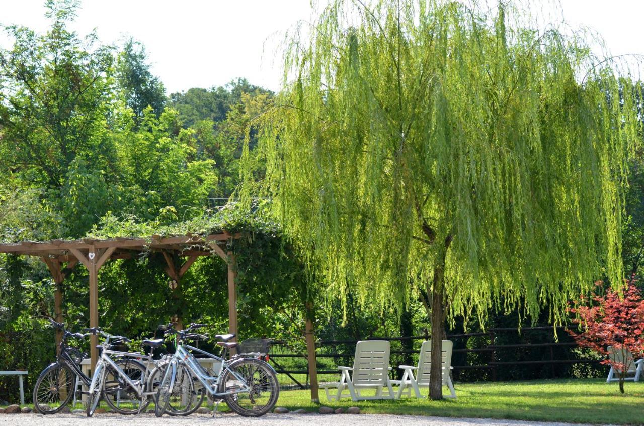 Bb Il Grande Salice Bike Friends Bed and Breakfast Ponti sul Mincio Exteriör bild