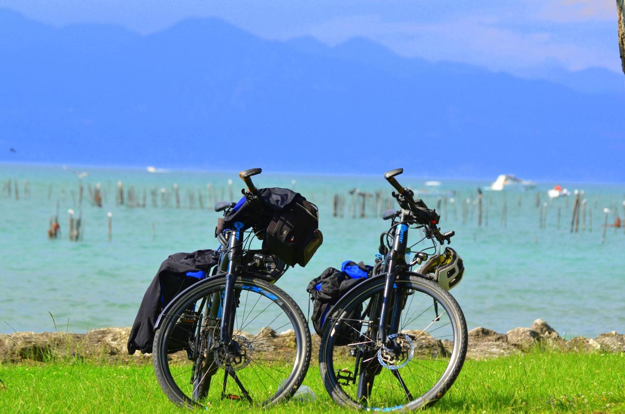 Bb Il Grande Salice Bike Friends Bed and Breakfast Ponti sul Mincio Exteriör bild